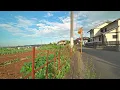 Download Lagu Rural Saitama - Perfect weather in Hidaka, Japan 2025 • 4K