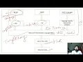 Tutorial 4 NET Framework Compilation Process