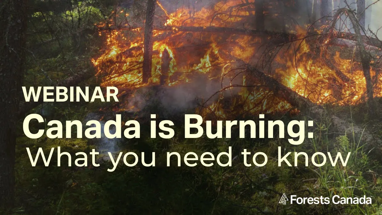 Canada is Burning: What you need to know