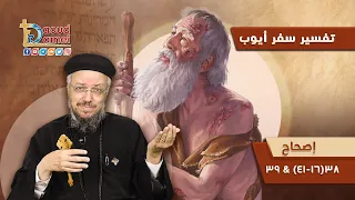 تفسير الكتاب المقدس سفر أيوب 25 سفر أيوب إصحاح 38 16 41 39 أبونا داود لمعي 