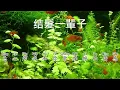 結髮一輩子 伴奏 karaoke   #越南小翠 #卡拉OK字幕  #拼音