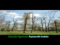 Download Lagu PopJawa Mix Sediaku