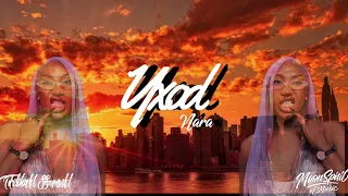 YXOD VYZB X AYA NAKAMURA DANS LA PEAUX REMIX [ZOUK 2026]