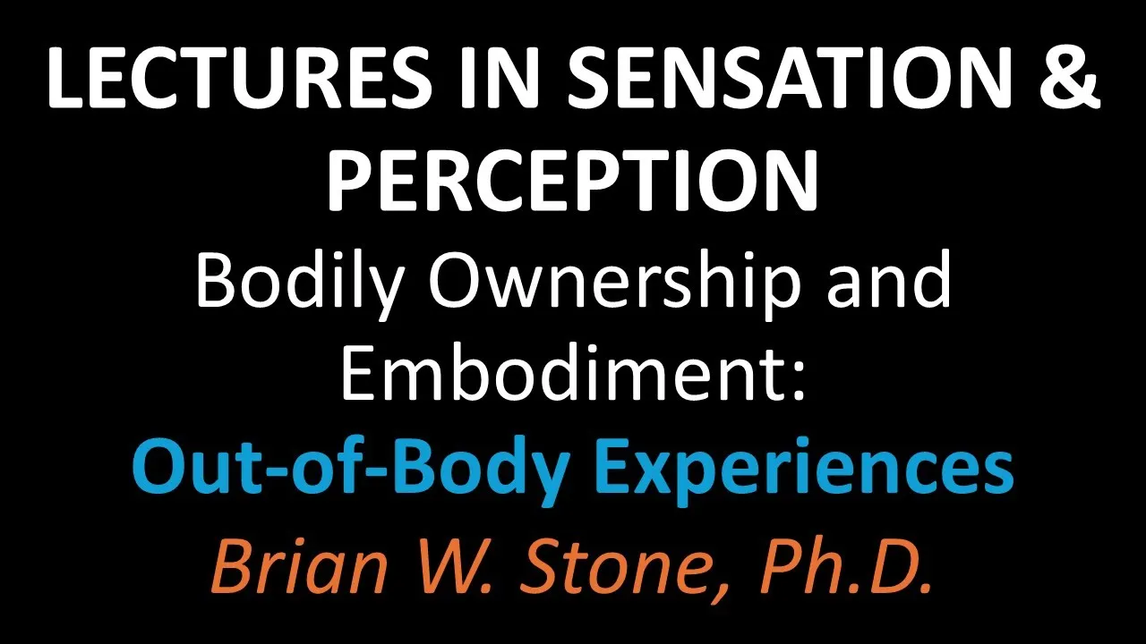 Sensation and Perception - Bodily Ownership and Embodiment Pt 4 - Out of Body Experiences