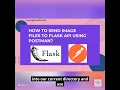 how to send image to flask api using postman