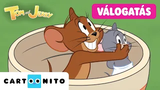 Kaotikus takarítás és viharos tréfa 😂 Tom és Jerry-összeállítás | Tom és Jerry-show | Cartoonito