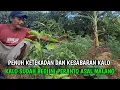 Download Lagu SAMAI ASAL MALANG PERANTO SATU INI TANAM CABE SUBUR2 