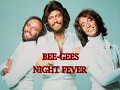 THE BEE-GEES NIGHT FEVER (HQ)