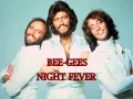 Download Lagu THE BEE-GEES NIGHT FEVER (HQ)