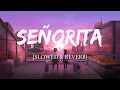 Shawn Mendes \u0026 Camila Cabello - Señorita [Slowed + Reverb]