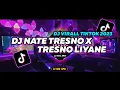 Download Lagu DJ Nate Tresno X Tresno Liyane Remix Tiktok Terbaru 2023