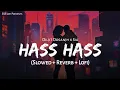 Lagu Hass Hass (Slowed + Reverb) | Diljit Dosanjh, Sia | Lofi Version | SSR Lofi