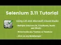 4 Selenium 2018 Tutorial C Visual Studio FindElements using Selectors and write in textbox