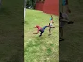 Download Lagu Homem aranha pega ladrão ao vivo 😱😰