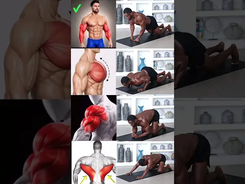 Beginner upper body workout #trending #upperbodyworkout #fitness
