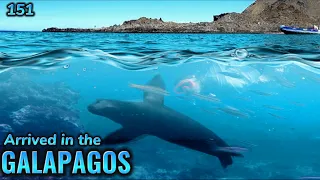 Galapagos: We Get Turned Away For a Dirty Bottom! Ep 151