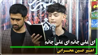 ای علی جانم ای علی جانم امیر حسین محرابی مزارشریف 