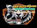 Lagu NEW OT TS REBORN | FDJ SHINTA BILQIS | tanjung Menang Bergetar | DJ DUGEM TERBARU VIRAL DI TIKTOK