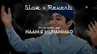Download Ghulam Mustafa QaDri, [ Slow and Reverb], ISLAMIC LO-FI , NAAM E MUHAMMAD MP3