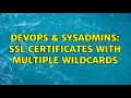 DevOps SysAdmins SSL certificates with multiple wildcards 2 Solutions