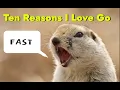 10 Reasons I Love Go as a dev