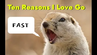 10 Reasons I Love Go as a dev
