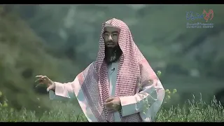 هل تعلم فوائد العسل العظيمة لن تصدق   اسمع كيف وصفها الشيخ نبيل العوضي دندنها