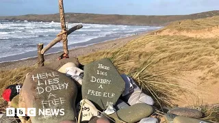 Grave of Harry Potter s Dobby the Elf saved - BBC News