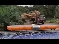 Download Lagu Merc 3836 logging truck sarawak🔥