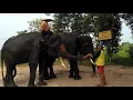 Download Lagu Traveling || Jalan jalan bersama si gundul trans7 #trending1