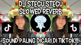 dj stecu stecu slowed reverb sound viral di tiktok 