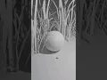 Get Ready for AMAZING Clay Renders Here s How to Do It In Blender