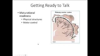 2 4 Infant cognition physical precursors to language