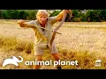 Steve Irwin Comes Face to Face with Deadly Snakes The Crocodile Hunter Animal Planet