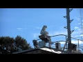Riding the new Wahkiakum County Ferry - Sep 24 2015