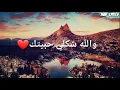 Hamada Nashawaty - Shakle Habetek ~ حمادة نشواتي - شكلي حبيتك (lyrics- كلمات الأغنية)