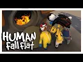 Download Lagu Human Fall Flat gets FREAKY