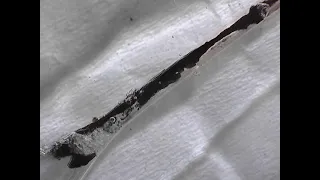                           دندنها