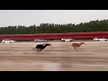 Lagu Greyhound x Saluki Race 1.2 Km Distance