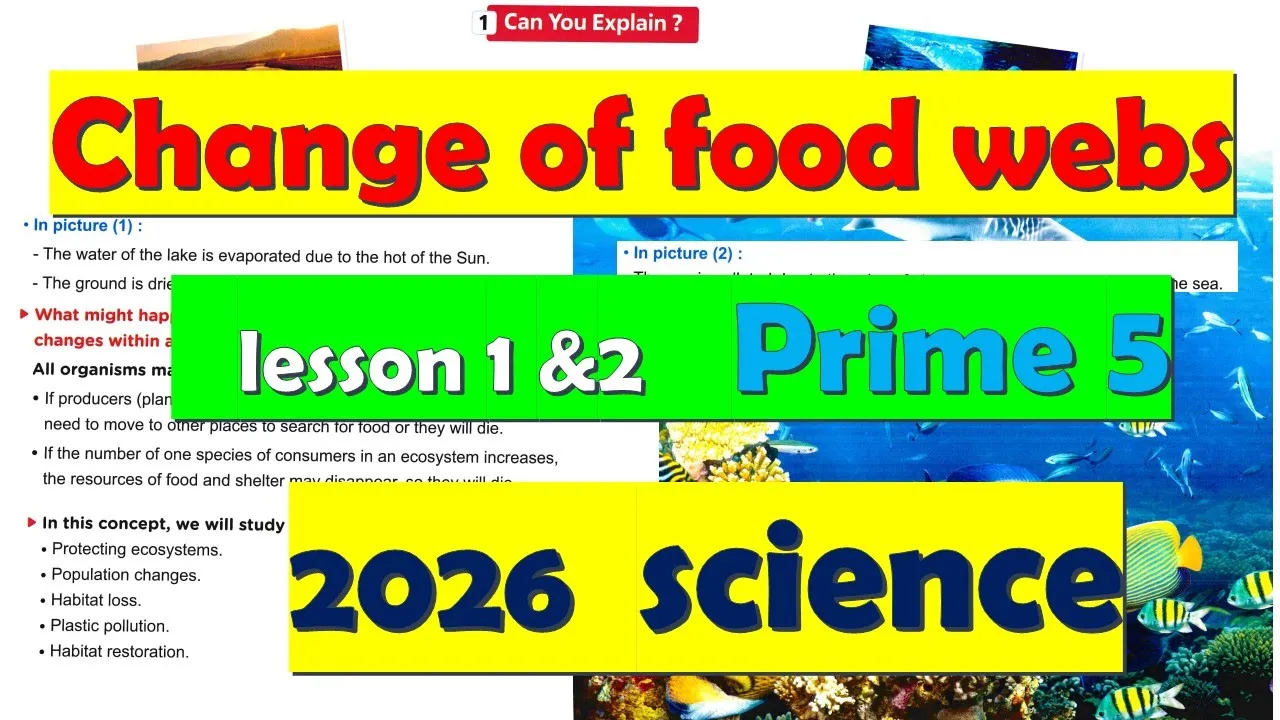 Change in Food Webs | أسهل شرح الدرس الأول والثاني | Science الصف الخامس 2026