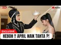 Lagu HEBOH ‼️ Elvy Sukaesih Puji April DA7, Benarkah Isyarat Ratu Dangdut Gen Z ?!