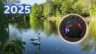 Наталія Гордієнко Два лебеді КРАЩА МУЗИКА УКРАЇНИ 2025 