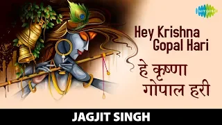 hey krishna gopal hari jagjit singh new bhajan and kirtan 2022