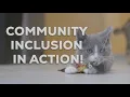 PROVAIL Community Inclusion The Kitten Tamer WA DSHS