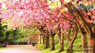 اللهم حسن لنا خلقا   اضفيت على الحسن العبقا فالورد تضوع واعتنقا   دندنها