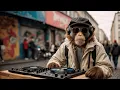 Download Lagu DJ GO RILLA – 🎧 JOURNEY №80 | Funky Deep House Set | KREUZBERG, BERLIN 🎨