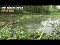 Download Lagu Full nila babon..!! spot mancing impian semua para pemancing liar