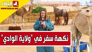 نكهة سفر في ولاية الوادي 