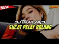 Download Lagu Dj Thailand | SUCAT PELAY BOONG | Remix Terbaru Viral DJ TEDY