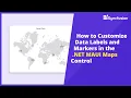 How to Customize Data Labels and Markers in the NET MAUI Maps Control